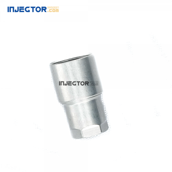 Injector Tight Cap F00RJ02219